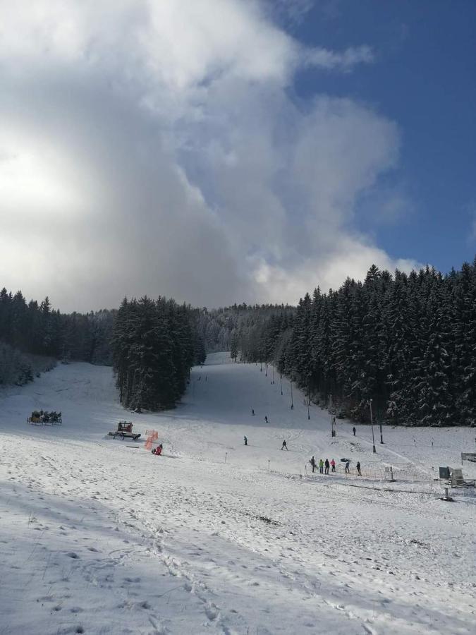 Penzion Ctyrlistek Teplice nad Metuji Exterior photo