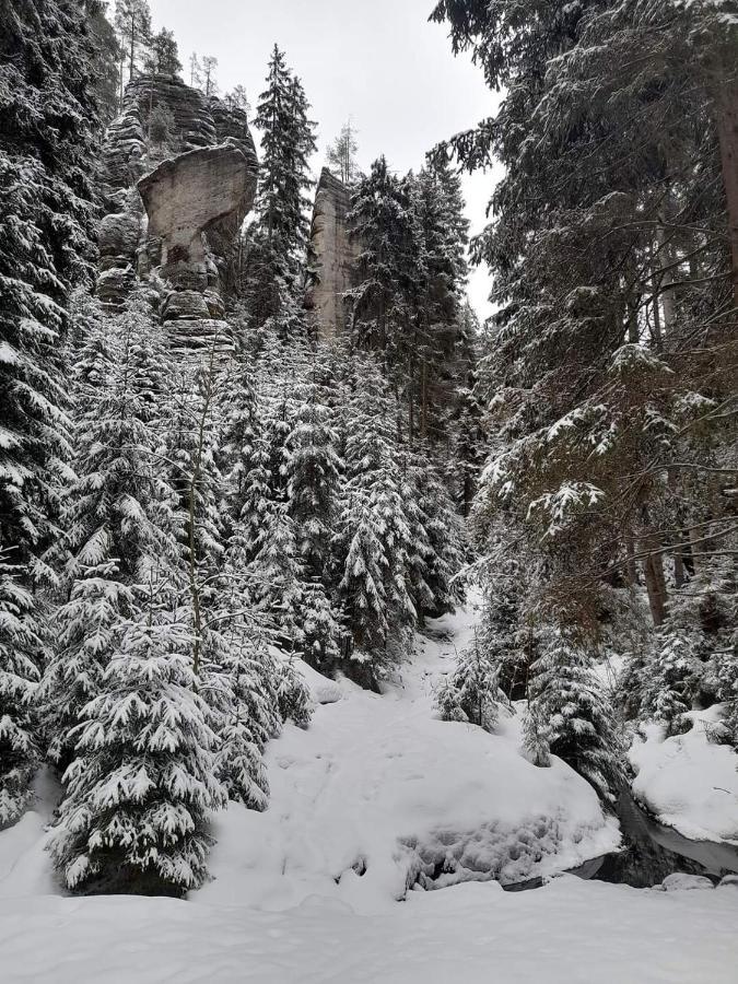 Penzion Ctyrlistek Teplice nad Metuji Exterior photo