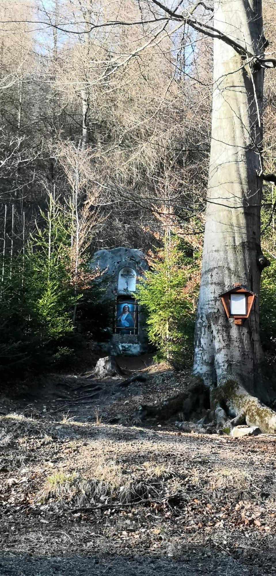Penzion Ctyrlistek Teplice nad Metuji Exterior photo